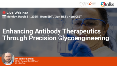 Enhancing Antibody Therapeutics Through Precision Glycoengineering