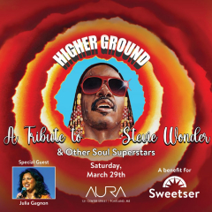 Stevie Wonder Tribute Benefit Concert