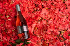 Sterling Vineyards Rose and Roses