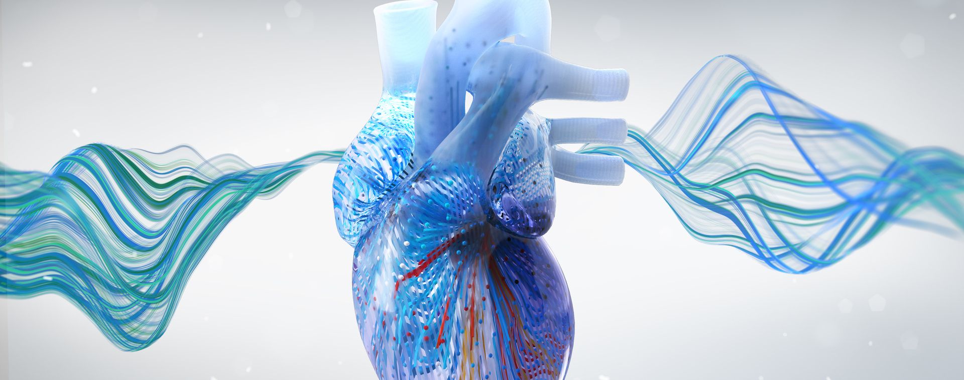 Webinar: Electrophysiology Board Review Insights: Atrial Arrhythmias Virtual Town Hall, Online Event