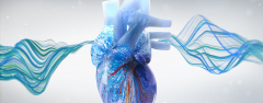 Webinar: Electrophysiology Board Review Insights: Atrial Arrhythmias Virtual Town Hall