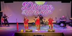 The DIVAS of The 70s and 80s