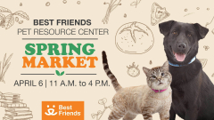 Best Friends Animal Society's Spring Renewal Market