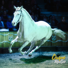 Cirque Ma'Ceo - Rock Springs WY