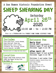 Sheep Shearing Day