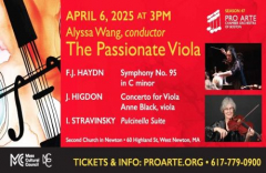 The Passionate Viola