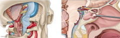Mayo Clinic Open and Endoscopic Techniques to the Cranial Base Surgery Course 2025