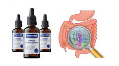Para911 Parasite Cleanse Canada SHOCKING PRICE!