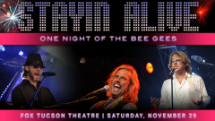 Stayin' Alive: One Night of the Bee Gees
