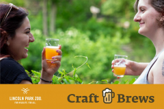 Craft Brews at Lincoln Park Zoo