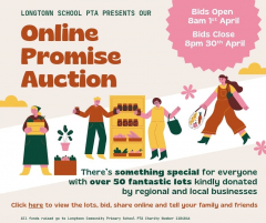 Online Promise auction