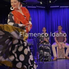 Flamenco Idaho!