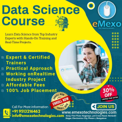 Data Science Master Training in Electronic City Bangalore – Master Data Analytics with Expert-Led Sessions