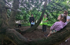 Wandering Emotions Family Wellbeing Walk