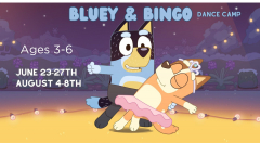 Bluey and Bingo Summer Camp