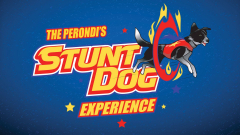 Stunt Dog Experience
