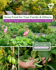 Grow Food for Your Family and Others at the Sisters of St. Joseph Community Gardens