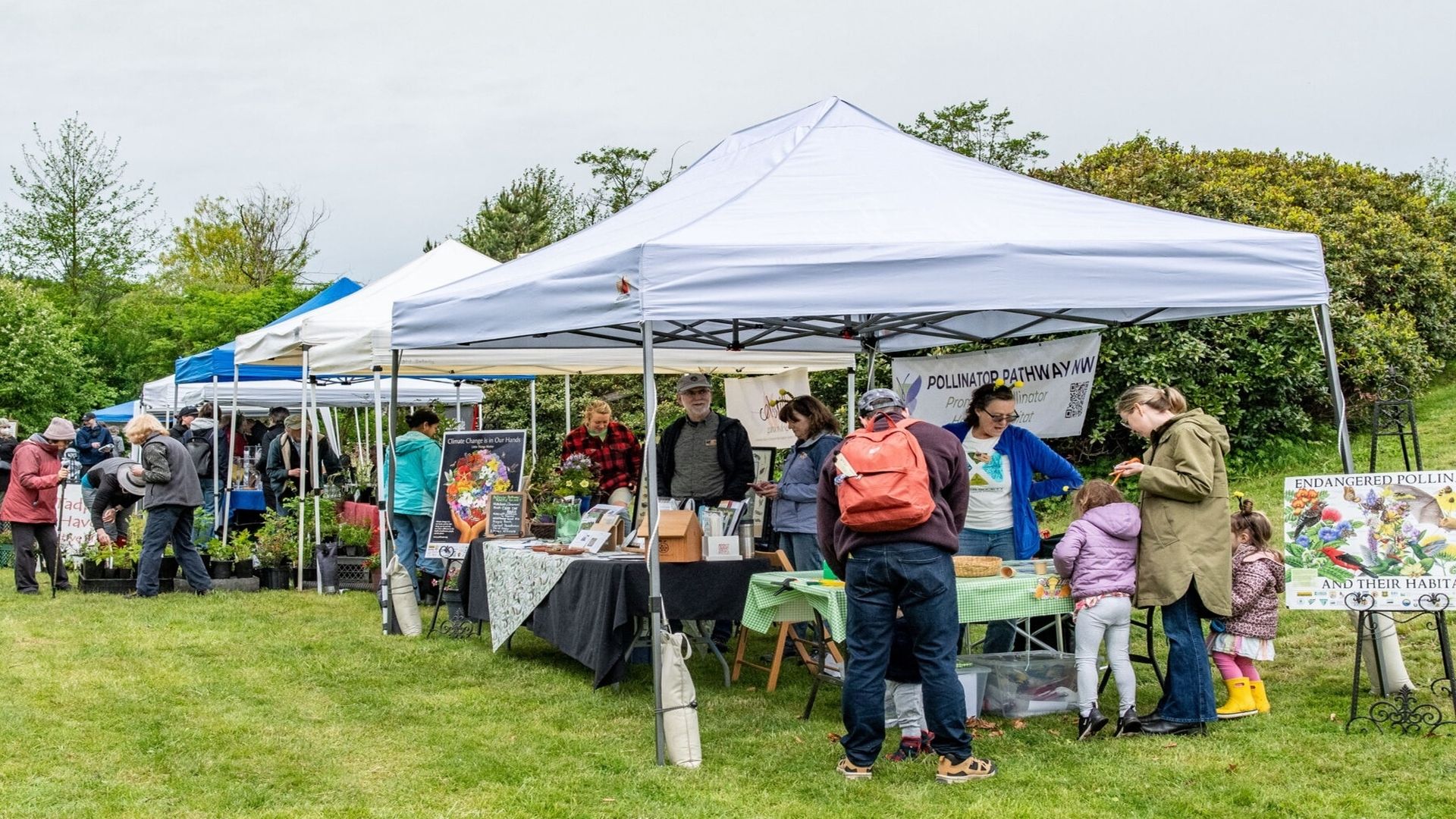 Sammamish Valley Pollinator Fest, Woodinville, Washington, United States