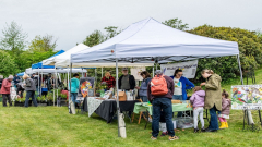 Sammamish Valley Pollinator Fest