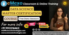 Data Science Master Training in Electronic City Bangalore