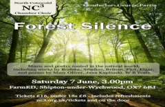 Forest Silence
