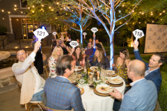 The BIG Night Online and LIVE Auction Event