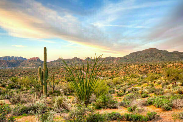 Heart to Heart: Advances in Cardiovascular Critical Care and Resuscitation, Scottsdale, Arizona, United States