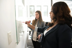 DISC and Motivators Virtual Train-the-Trainer Workshops