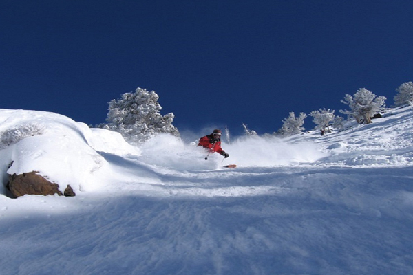 Cardiovascular Conference at Snowbird, Snowbird, Utah, United States