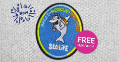 Scout Days at SEA LIFE Michigan Aquarium - FREE Entry for Scouts this May 2025