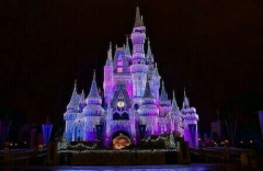 Primary Care CME at Walt Disney World Orlando, February 2026 President's Day Weekend!
