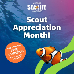 SEA LIFE Arizona Scout Appreciation Month
