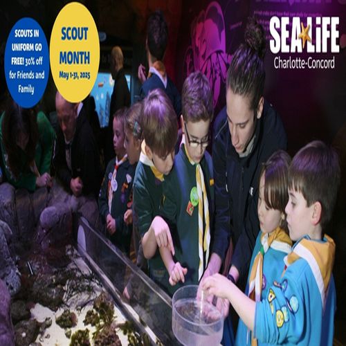 1746425568-scout-appreciation-month-at-s