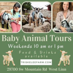 Baby Animal Tours