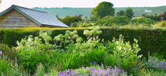 Altons and Honeystreet Open Gardens Festival