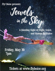 Jewels in the Sky: A Dazzling Night of Flight, Grace and Human Brilliance