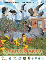 World Migratory Bird Day at the Zoo