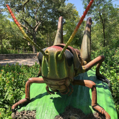 Bugs LIVE