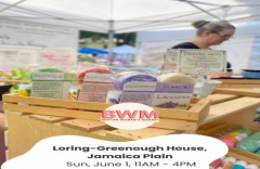 Boston Women's Market Jamaica Plain