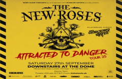 THE NEW ROSES downstairs at The Dome - London