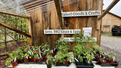 Plant Sale - Fill Up Your Gardens