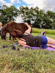 Mini Horse Yoga on the Eastern Promenade in Portland, Maine