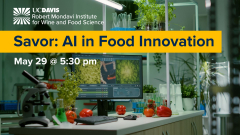 Savor: AI in Food Innovation
