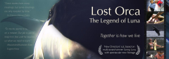 Lost Orca: The Legend of Luna Documentary Screening and Q&A