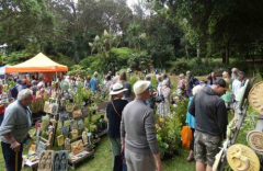 Abbotsbury Gardens Early Summer Plant Fair