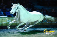 Cirque Ma'Ceo - Red Bluff