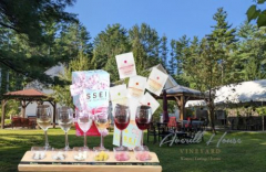 Cultural Wine and Mochi Tasting Experience | Elegant Pairings at Averill House Vineyard, Brooklinee NH