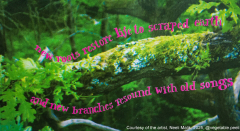 Writing Nature, Speaking Human: Poetry in the Age of the Anthropocene