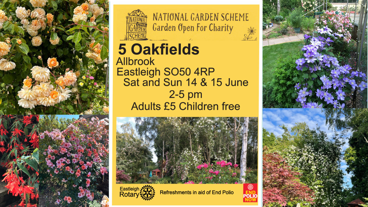 NGS Open Garden 14th and 15th June 2-5 pm 5 Oakfields, Allbrook, Eastleigh SO50 4RP, Eastleigh, England, United Kingdom