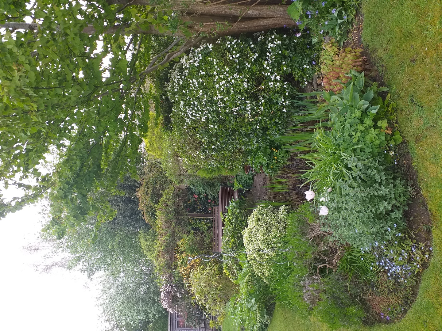 Fordingbridge Open Gardens, Fordingbridge, England, United Kingdom